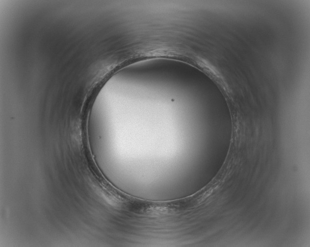 X0000062600298200512230900