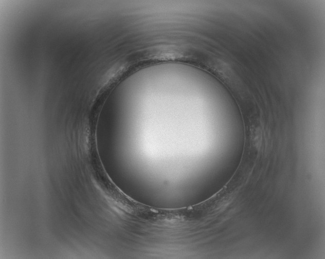 X0000062600304200512230900