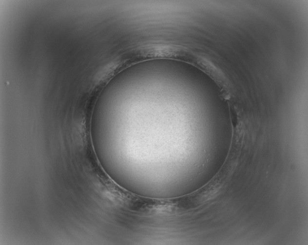 X0000062600306200512230900