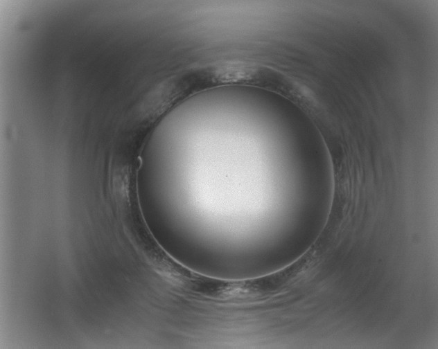 X0000062600315200512230859