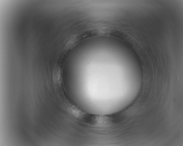 X0000062600336200512230859
