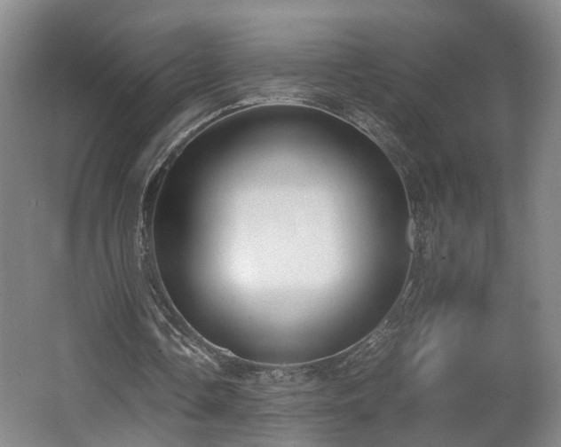 X0000062600338200512230858