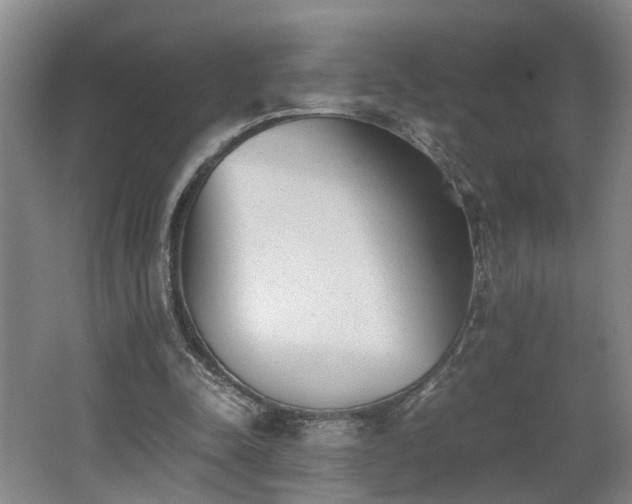 X0000062600342200512230858