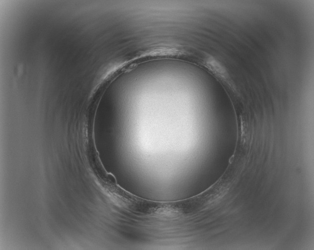 X0000062600348200512230858