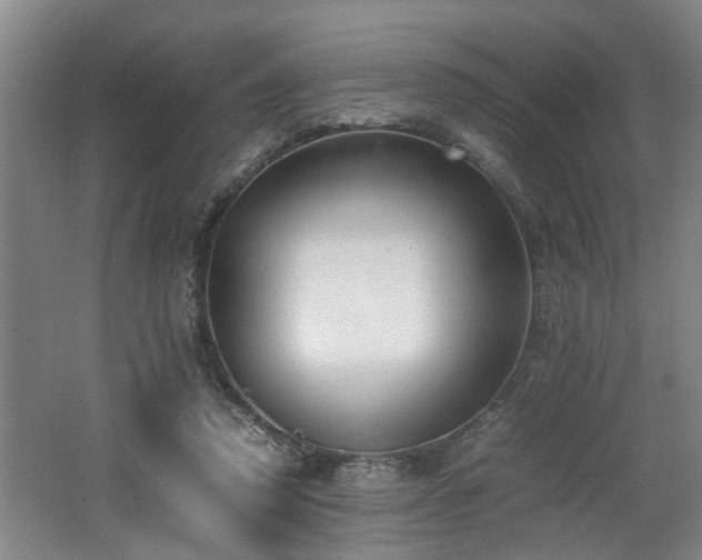 X0000062600354200512230858