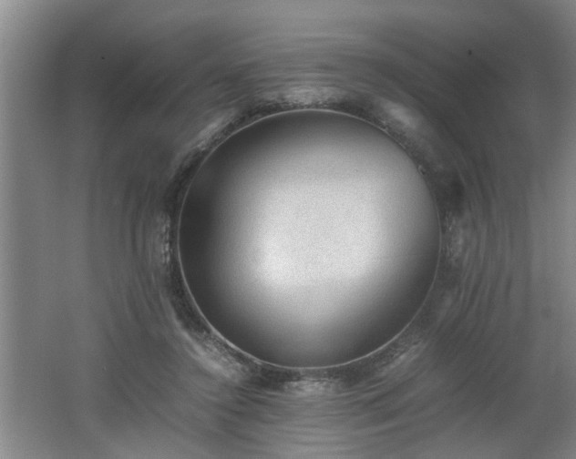 X0000062600356200512230859