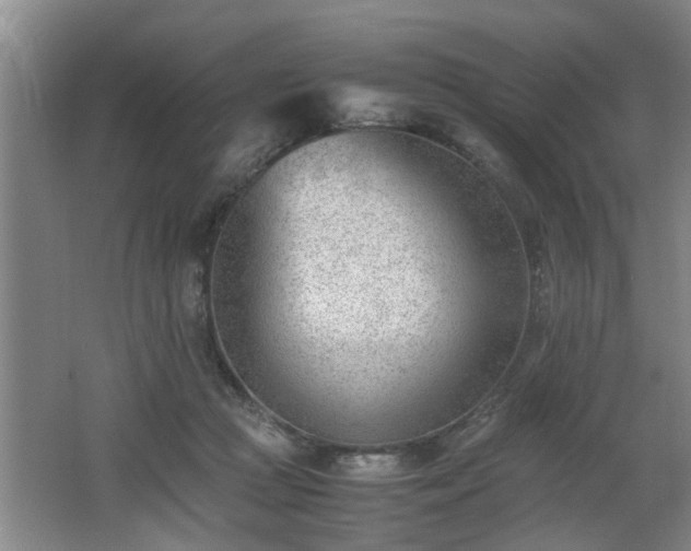 X0000062600361200512230859