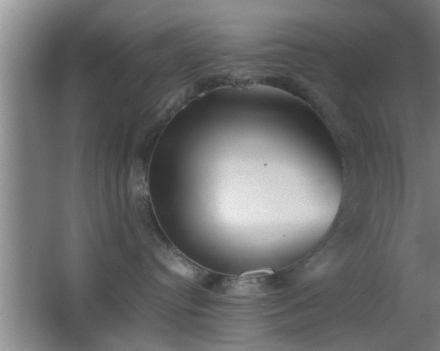 X0000062600384200512230859