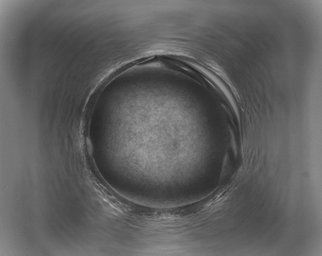 X0000062600387200512230858