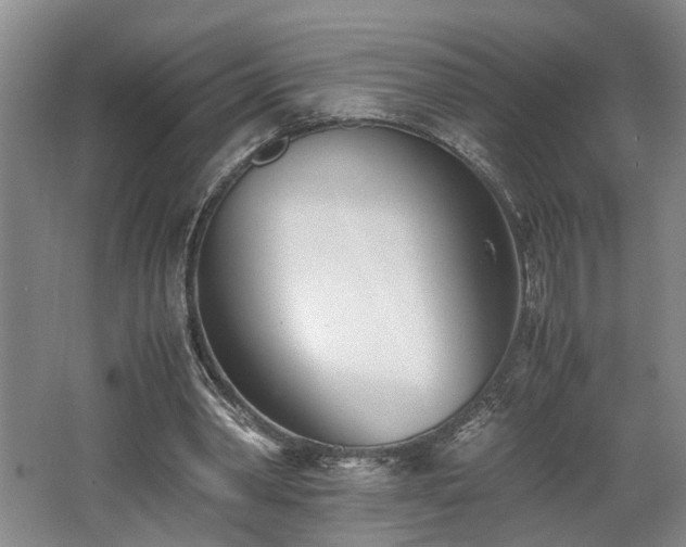 X0000062600390200512230858