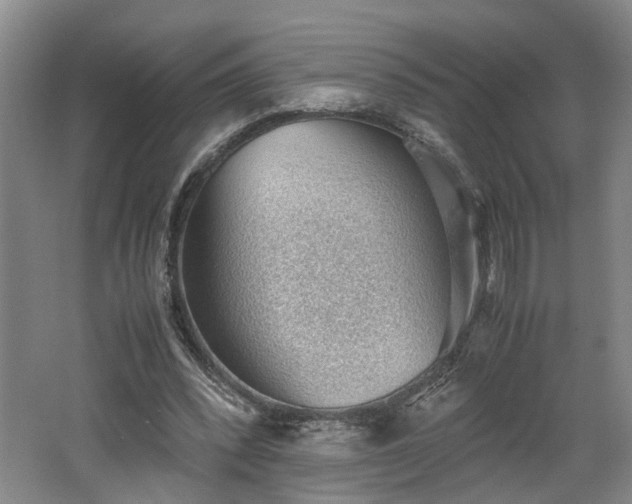 X0000062600392200512230858