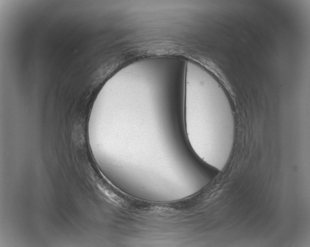 X0000062600393200512230858