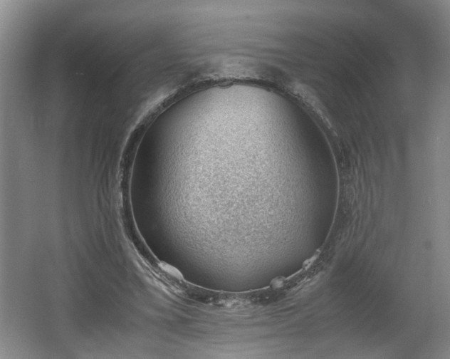 X0000062600395200512230858