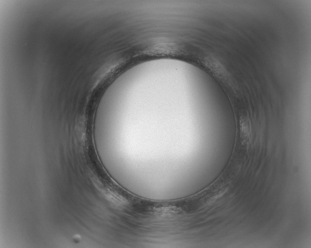 X0000062600396200512230858