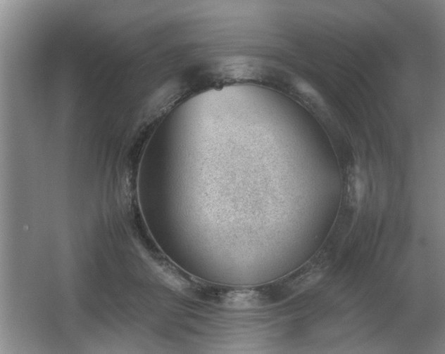 X0000062600410200512230858