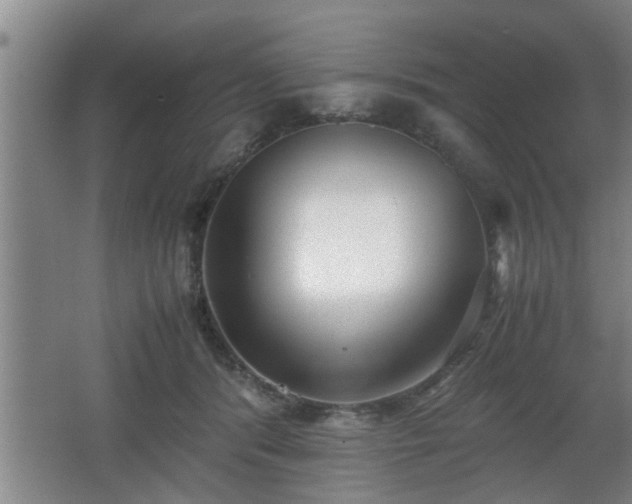 X0000062600416200512230858