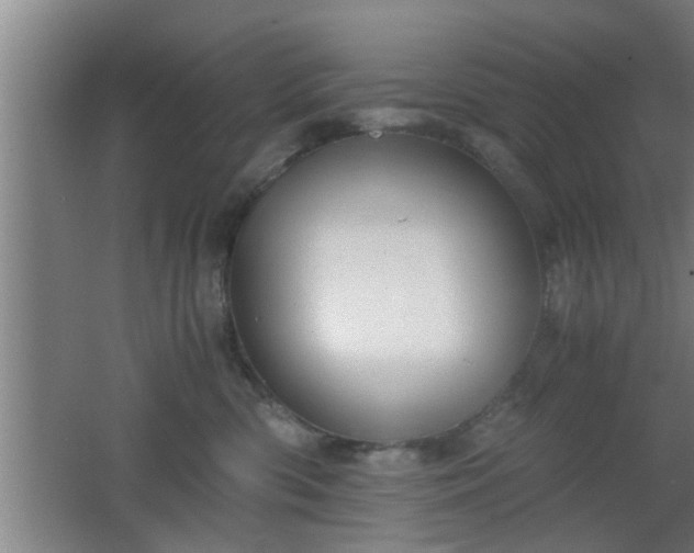 X0000062600426200512230857