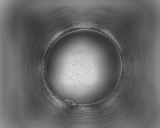 X0000062600437200512230857