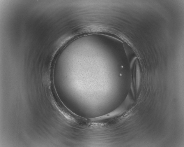 X0000062600438200512230857