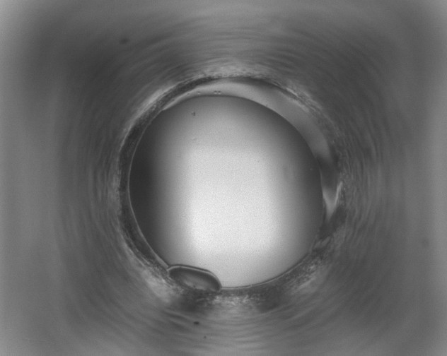 X0000062600440200512230857