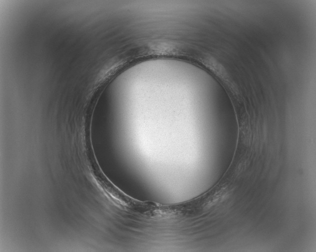 X0000062600442200512230857