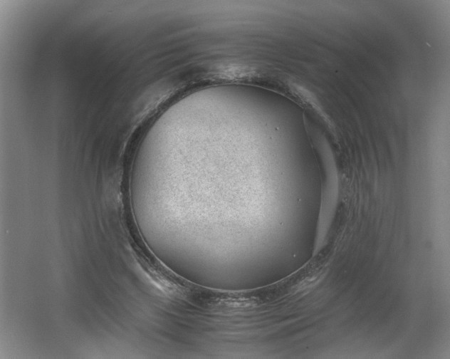 X0000062600443200512230857
