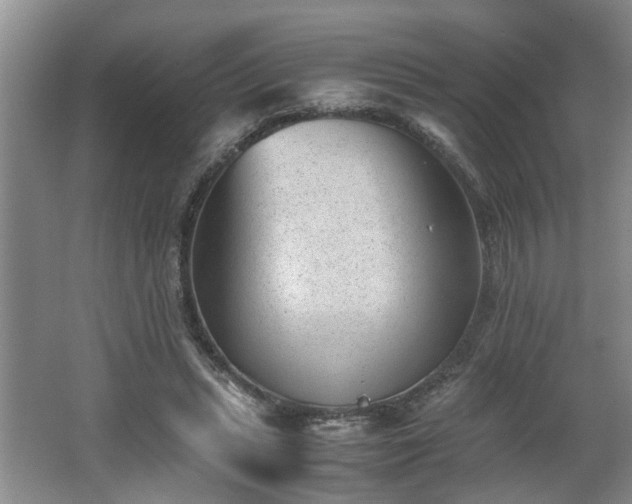 X0000062600447200512230857