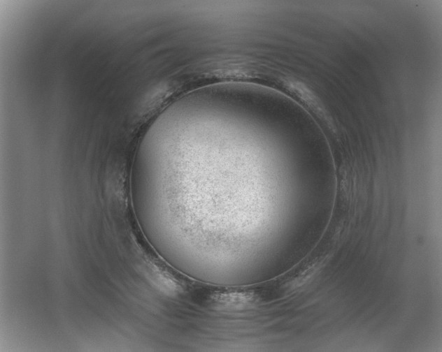 X0000062600449200512230857