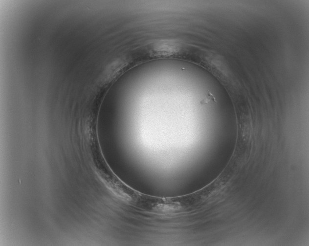 X0000062600455200512230857