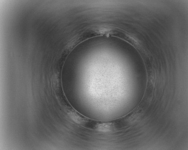 X0000062600461200512230857