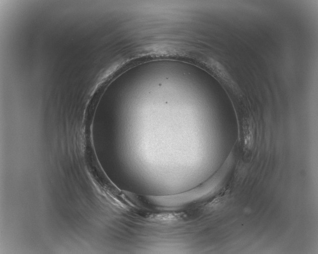 X0000062600488200512230856