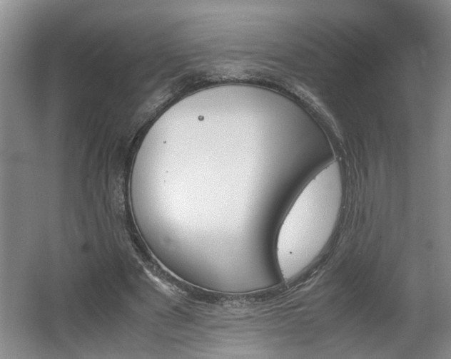 X0000062600489200512230856