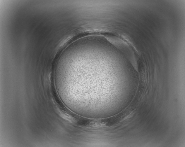 X0000062600491200512230856