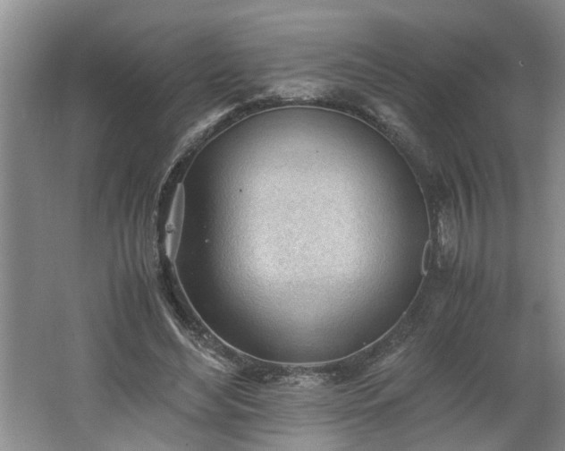 X0000062600492200512230856