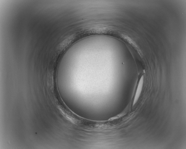 X0000062600493200512230856