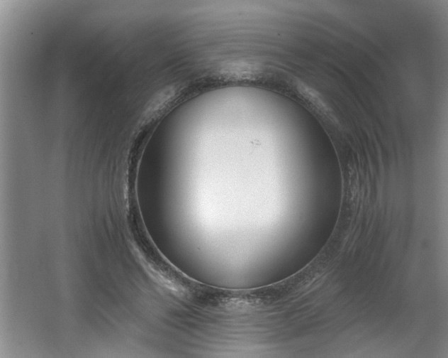 X0000062600494200512230856