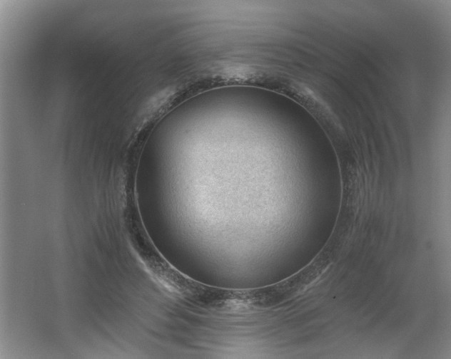 X0000062600496200512230856