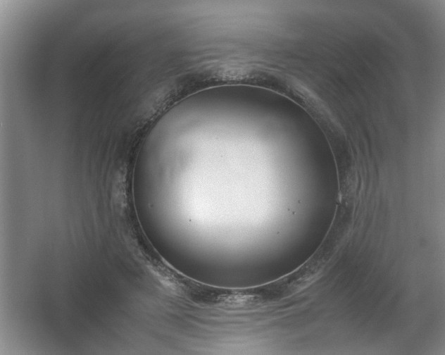 X0000062600497200512230856
