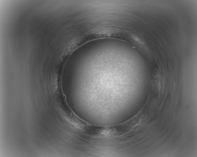 X0000062600504200512230856