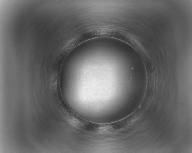 X0000062600505200512230856