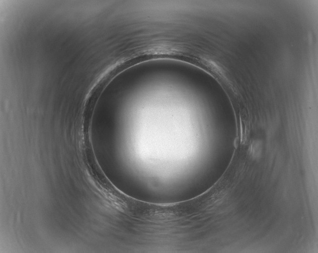 X0000062600531200512230855