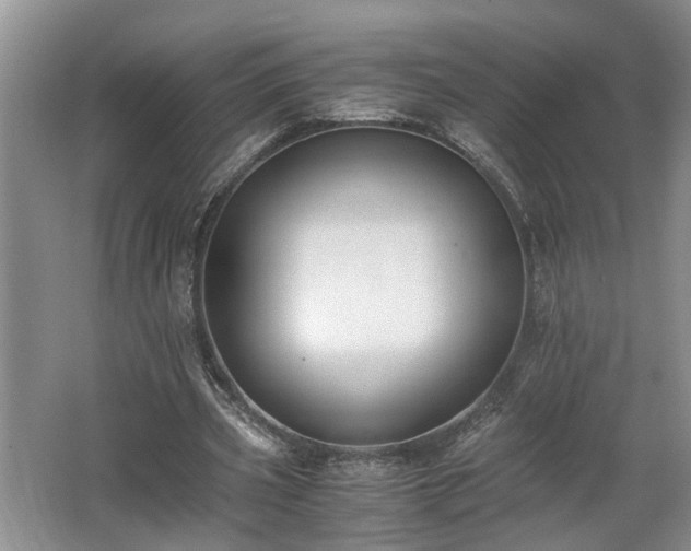 X0000062600533200512230855