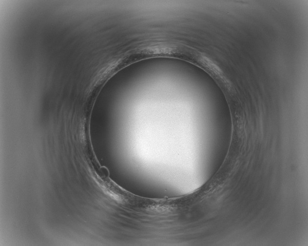 X0000062600537200512230855