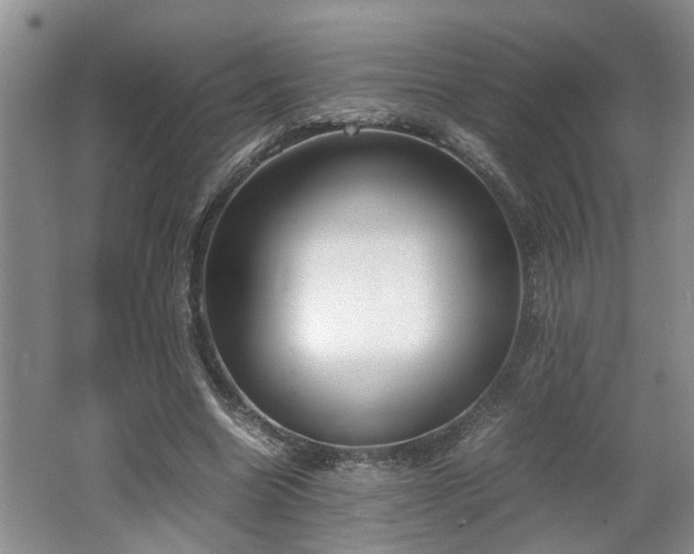 X0000062600538200512230855