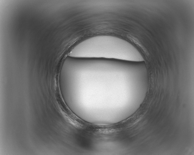 X0000062600541200512230855