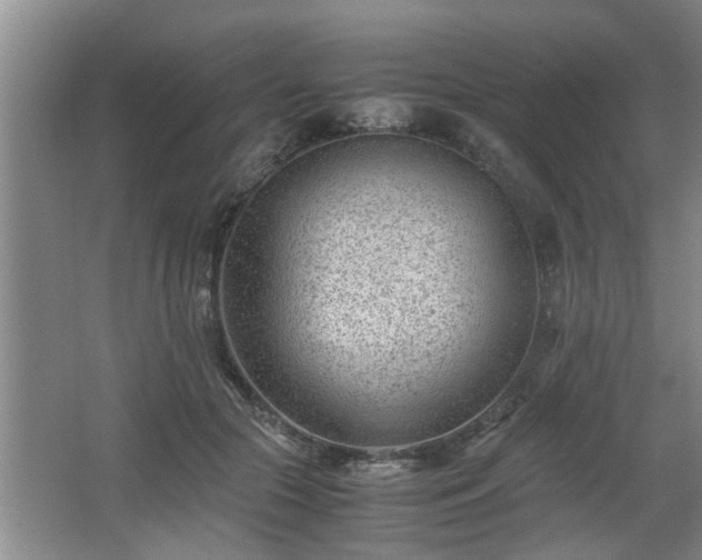 X0000062600553200512230855