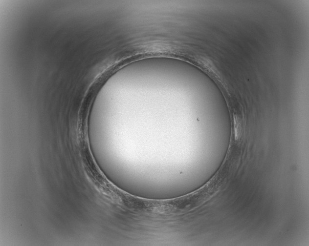 X0000062600579200512230855
