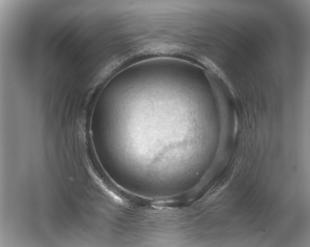 X0000062600581200512230855