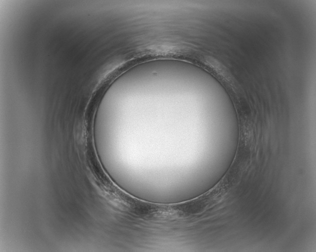 X0000062600583200512230855