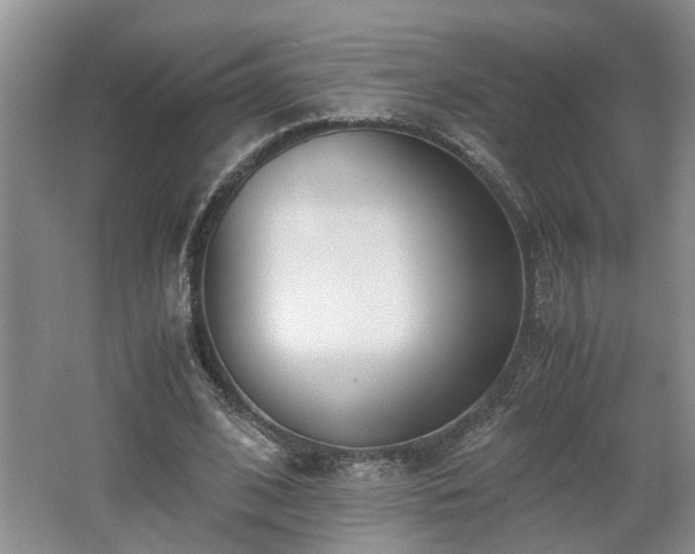 X0000062600584200512230855